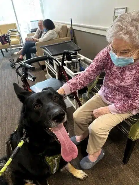therapy visit